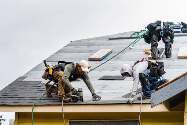 Professional Roofing technician working in Romney, IN
